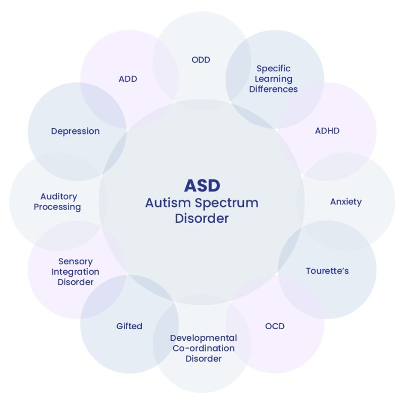 Care for Autism Spectrum Disorders